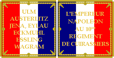 Napoleonic 10th Regt. Cavalry Flag