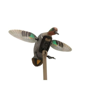 Mojo Outdoors Elite Teal Remote Ready Green Wing Decoy