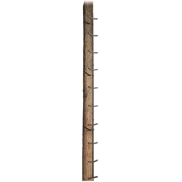 Big Dog Climbing Sticks 20 ft.