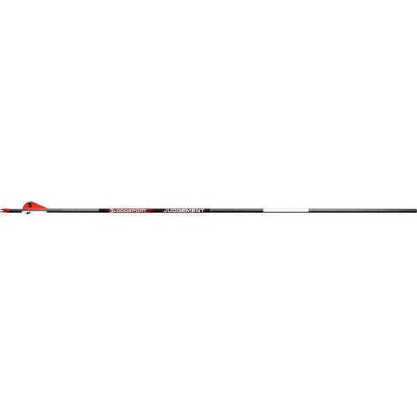 BloodSport Judgement Arrows 300 2 in. Vanes 6 pk.