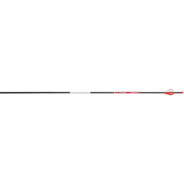 BloodSport Prosecutor Arrows 300 2 in. Vanes 6 pk.