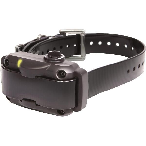 Dogtra YS600 No Bark Collar