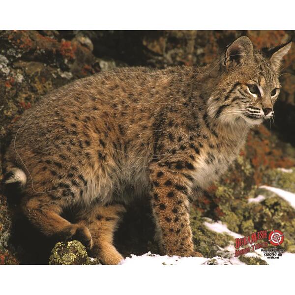 DuraMesh Archery Target Bobcat 25 in. x 32 in.