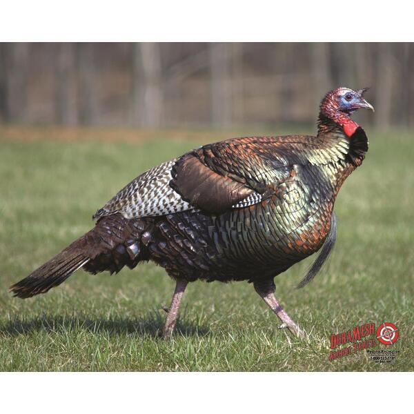 DuraMesh Archery Target Turkey 25 in. x 32 in.