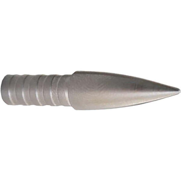 Gold Tip Accu-Points .204 Large 100 gr. 12 pk.