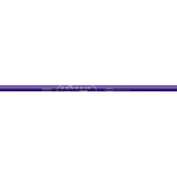 Easton Genesis V2 Shafts Purple 1820 1 doz.