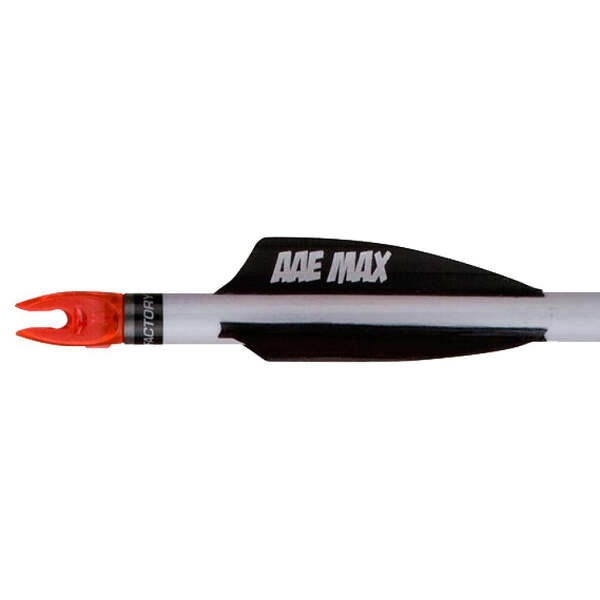 AAE Plastifletch Max Vanes Black 2 in. Shield 100 pk.