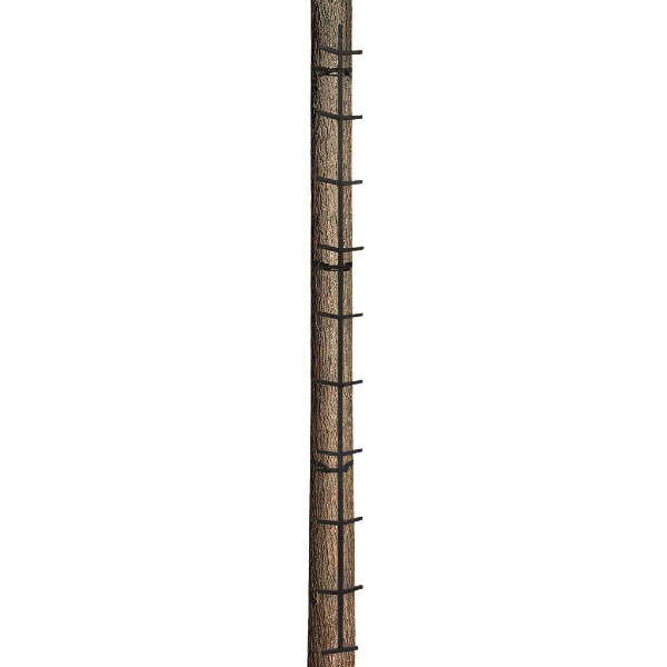 Big Dog Hot Foot Climbing Stick 24 ft.