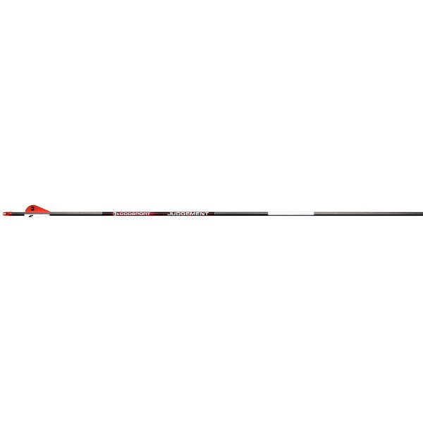 BloodSport Judgement Arrows 400 2 in. Vanes 6 pk.