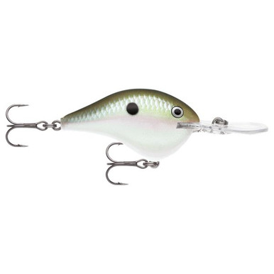 Rapala DT-8 Dives-To 8’ Crankbait - Green Gizzard Shad