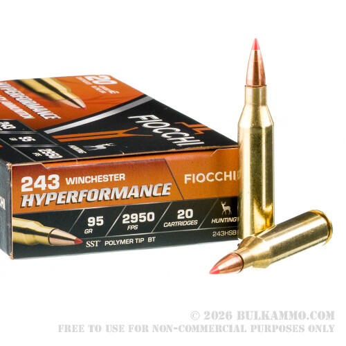 20 Rounds of .243 Win Ammo by Fiocchi - 95gr SST