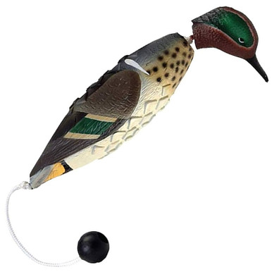 AVERY 02010 EZ BIRD GREEN WINGED TEAL