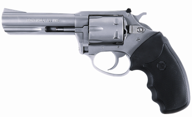 Charter Arms Target Pathfinder .22 Winchester Magnum 6-Shot 5" Revolver in Stainless