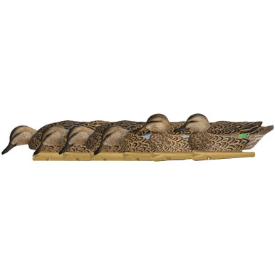 AVIAN-X AVX8079 TOPFLIGHT EARLY SEASON TEAL 6 PACK