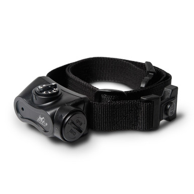 DT Systems Bark Boss No-Bark Collar