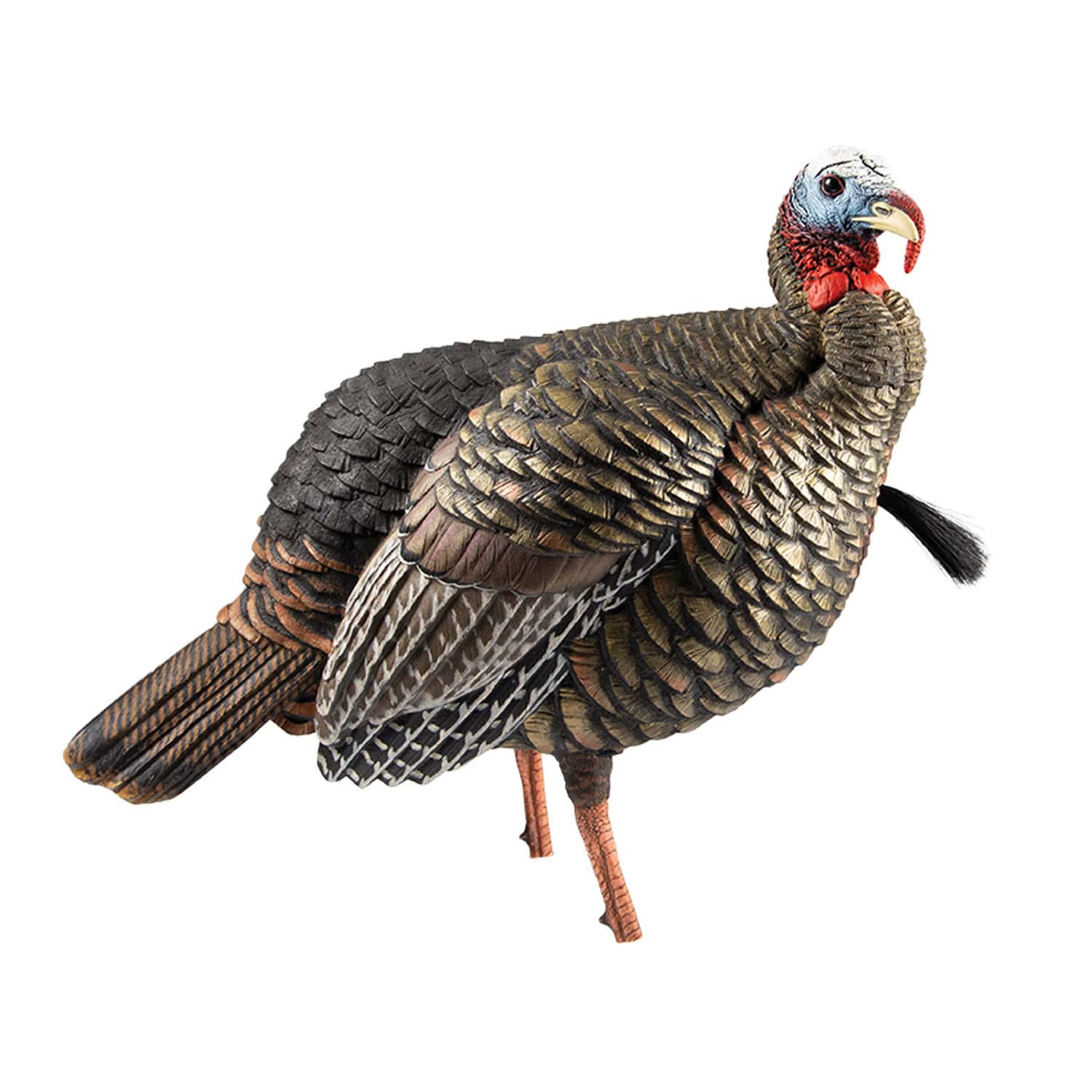 Avian-X Turkey Decoy HDR Jake Quarter-Strut AVX8105