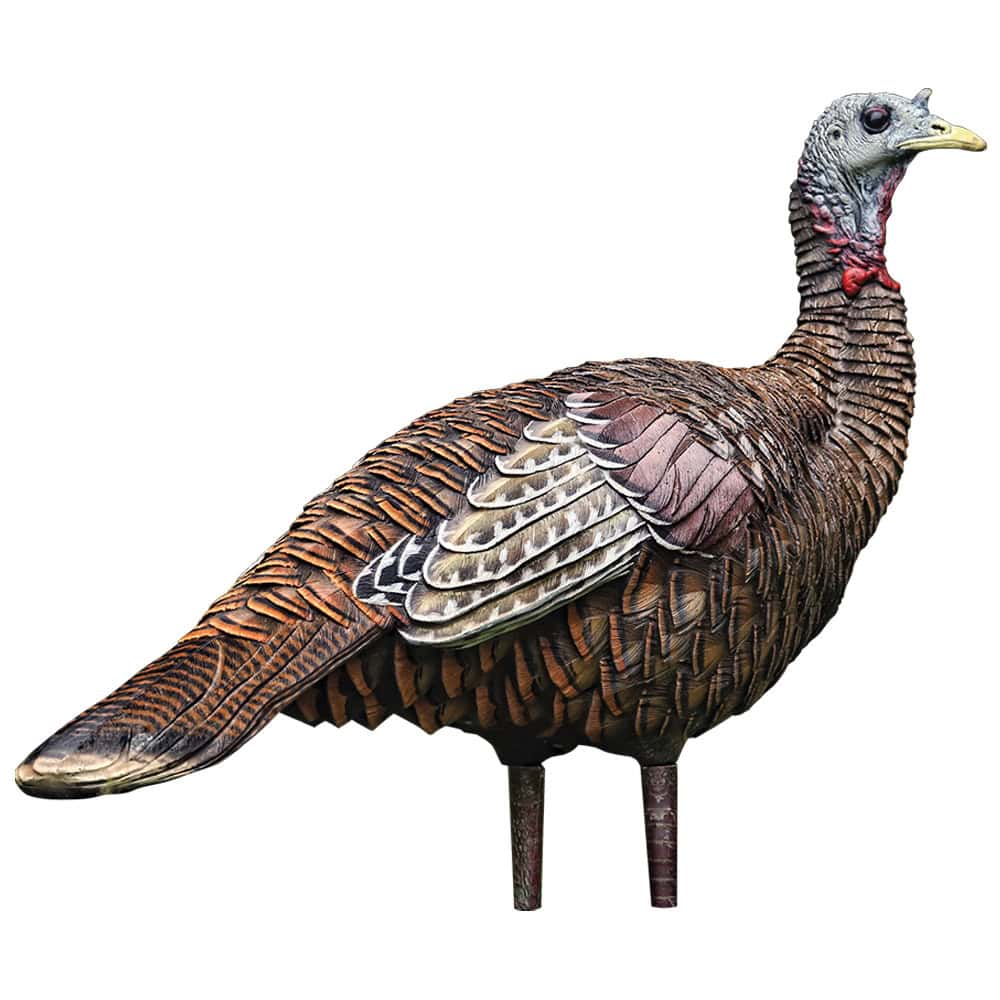 Avian-X Turkey Decoy LCD Lookout Hen AVX8006