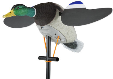Lucky Duck Lucky Junior II 6V