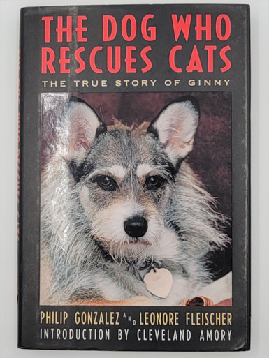 The Dog Who Rescues Cats