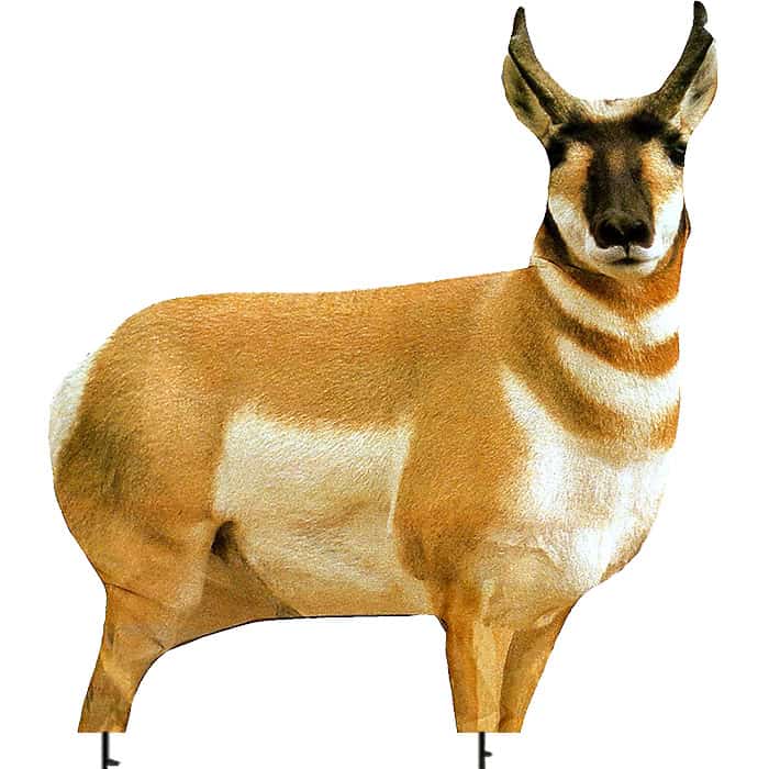 Montana Decoy Company Antelope Buck 38″x30″