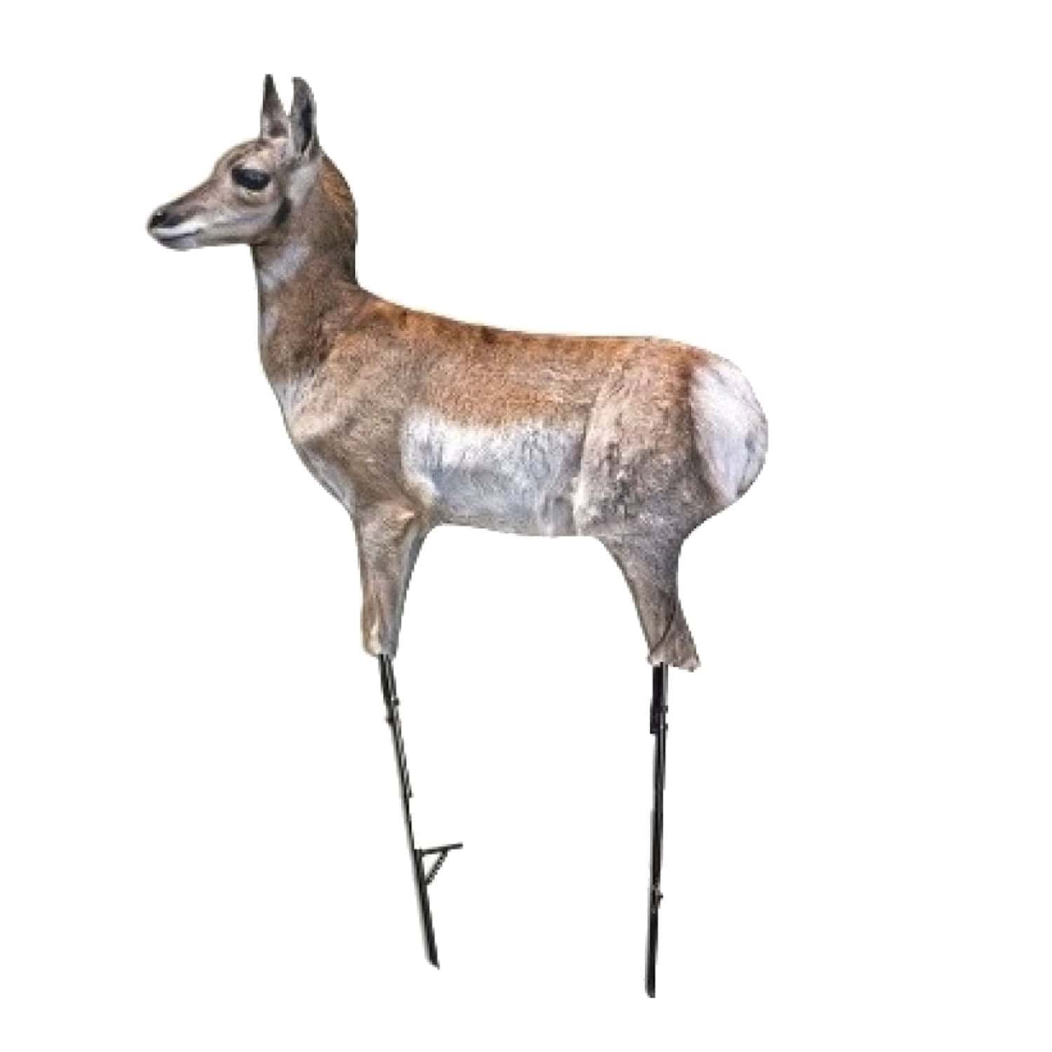 Montana Decoy Company Antelope Fawn Predator Decoy 0080