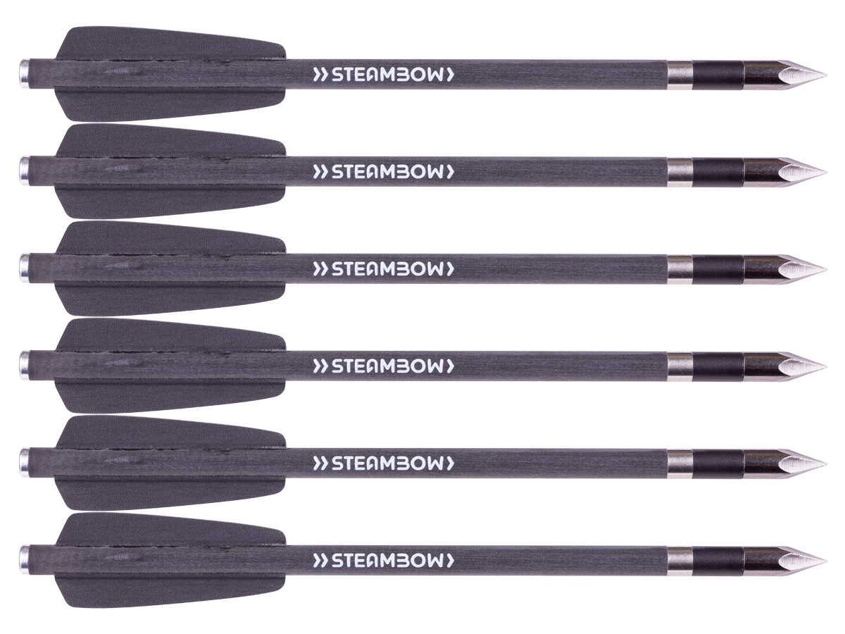 Steambow AR-Series Carbon Bodkin Arrows, Heavy, 6 Pack