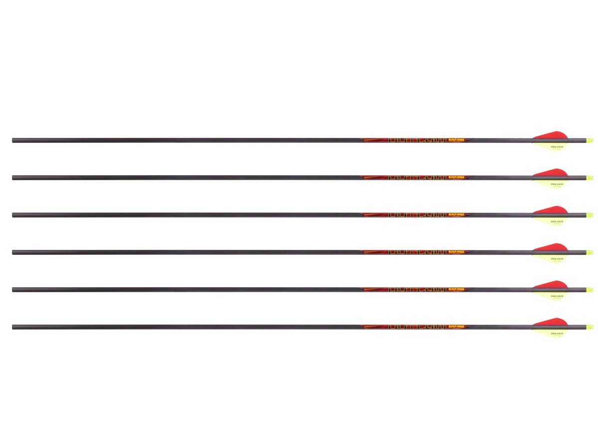 Black Eagle Outlaw 400 Spine Arrows, 6 Pack