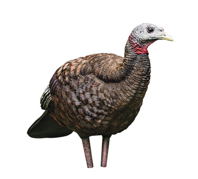 Avian-X LCD Breeder Hen