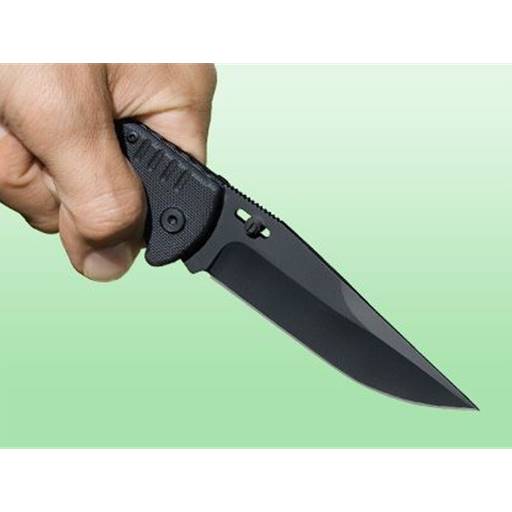 SOG Salute Folding Knife Clip Point Black Blade Black GRp- SOG-FF11-CP