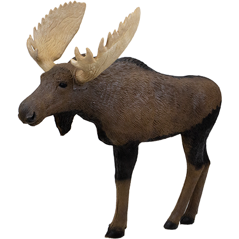Rinehart - 1/3 Scale Signature Moose